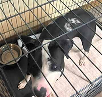 Photo of A040368