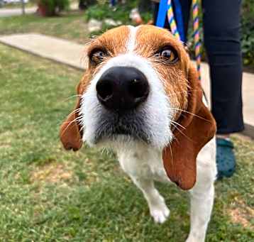 Photo of COOPER