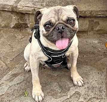 Photo of Tia
