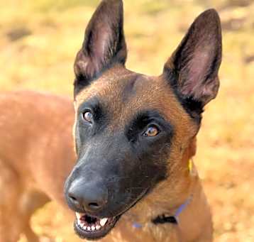 Photo of Kera 