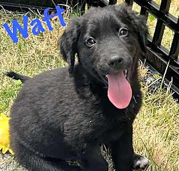 Photo of WAFT