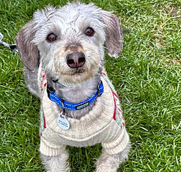 Photo of Ray Ray