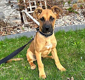 Photo of Indy