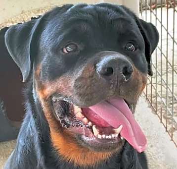Photo of IKE