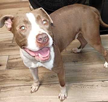 Photo of Evander