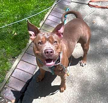 Photo of Lulu