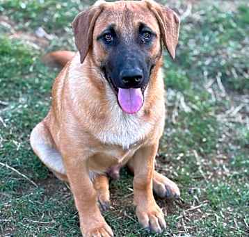 Photo of Cleo