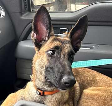 Photo of Kaida