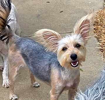 Photo of Betsie