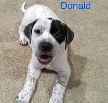 Photo of Donald