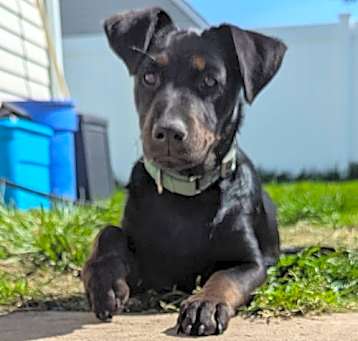 Photo of Prue
