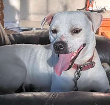 Photo of Jericho