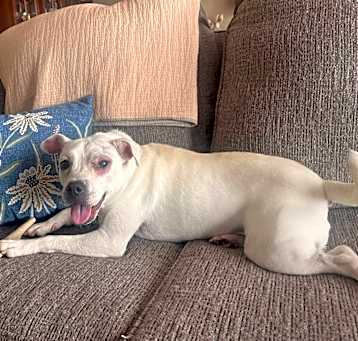 Photo of Pearl