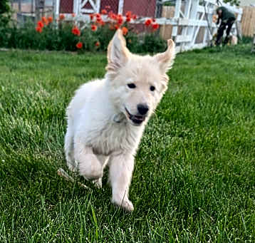 Photo of Todd
