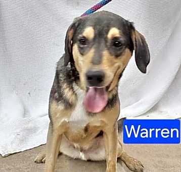 Photo of Warren