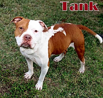 Photo of Tank