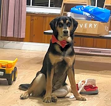 Photo of Oddie
