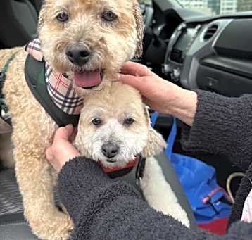 Photo of Fiona & Frankie