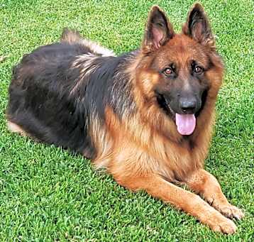 Photo of Bruce