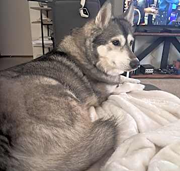 Photo of Mia