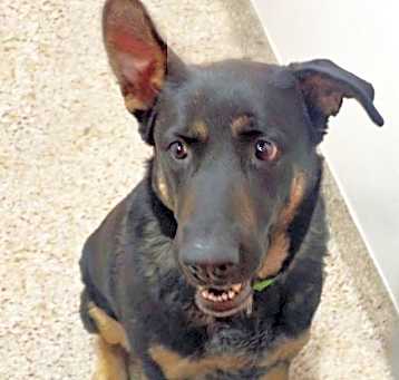 Photo of LILLY