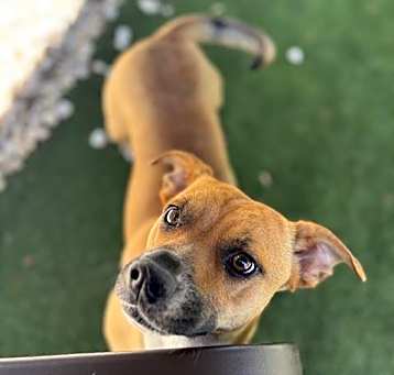 Photo of LULU