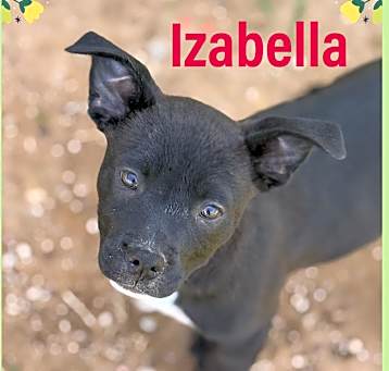 Photo of Izabella