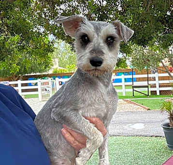 Photo of Sweetie