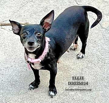 Photo of Ellie