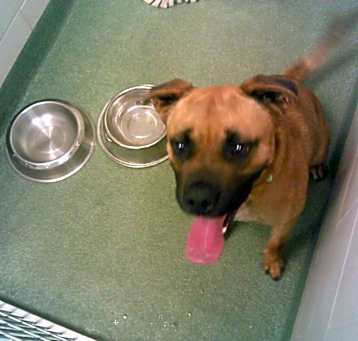 Photo of MARVIN