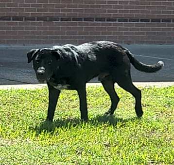 Photo of Deveraux