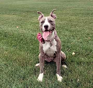 Photo of Cleo