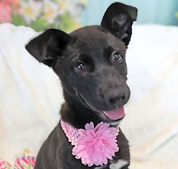 Photo of Tootie