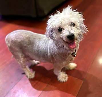 Photo of Angel