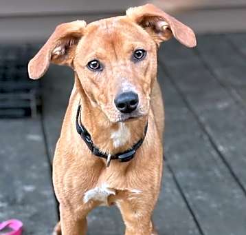 Photo of Betty