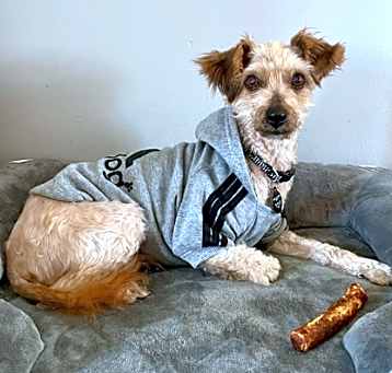 Photo of Drift
