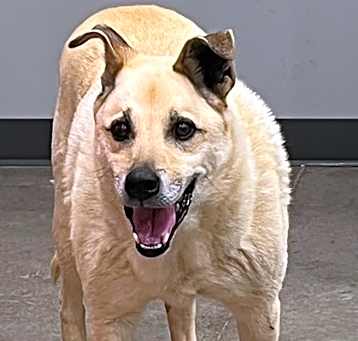 Photo of Cooper