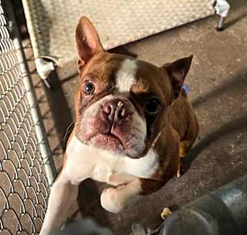 Photo of Mugsy
