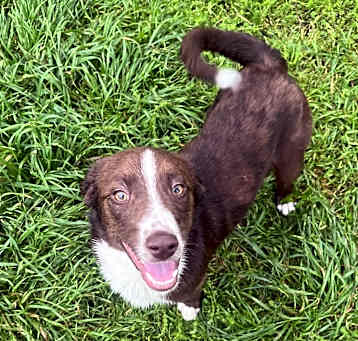 Photo of Vinny