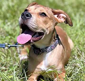 Photo of Nelli