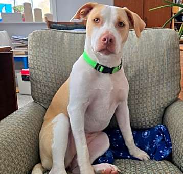 Photo of Nyla