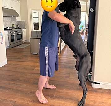 Photo of Apollo