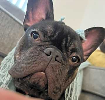 Photo of Taco