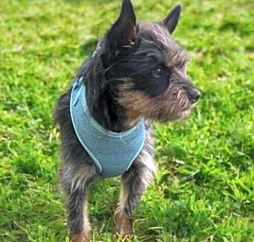 Photo of Freda