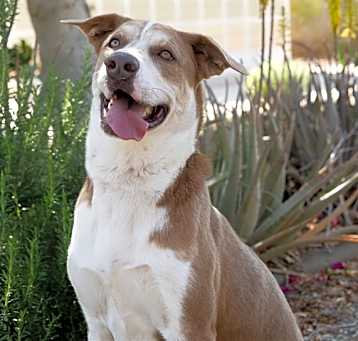 Photo of KODAH