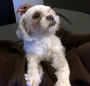 Photo of Sasha