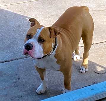 Photo of King