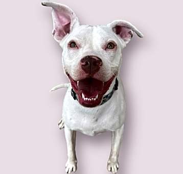 Photo of DAISY