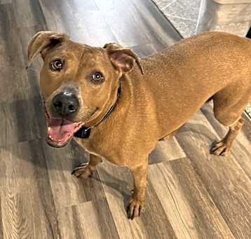 Photo of Luna