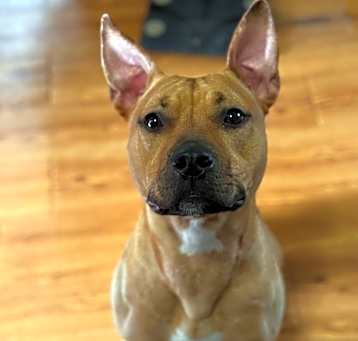 Photo of Clementine